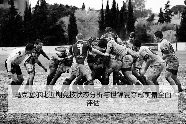 ma-ke-sai-er-bi-jin-qi-jing-ji-zhuang-tai-fen-xi-yu-shi-jin-sai-duo-guan-qian-jing-quan-mian-ping-gu-1-318.jpg